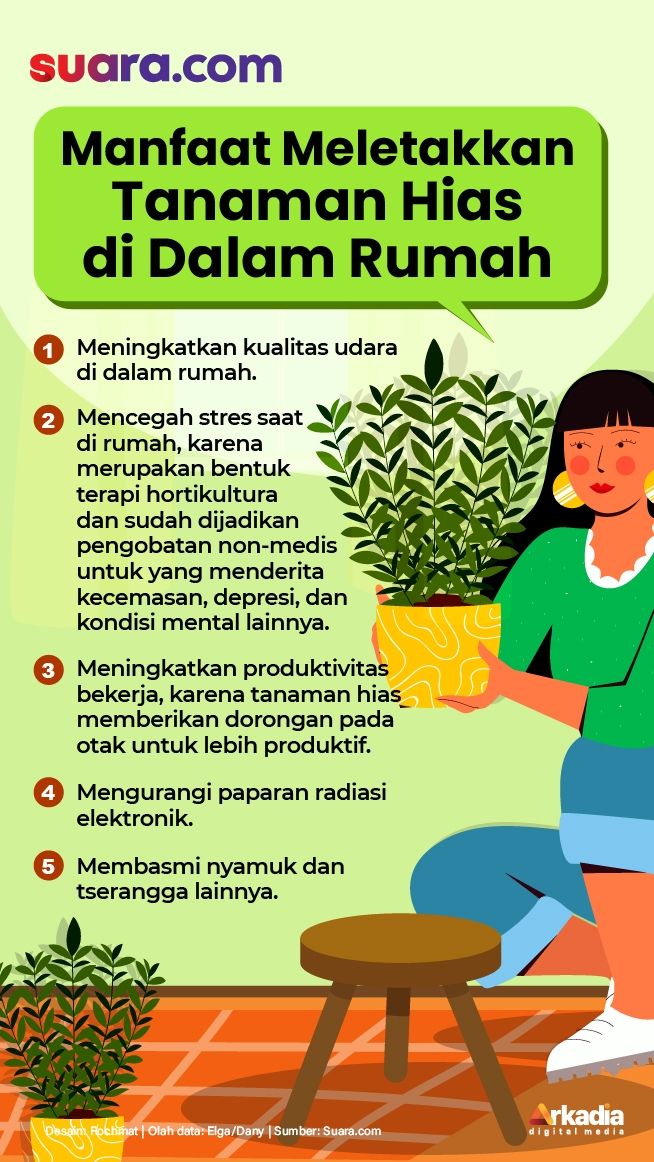 Infografis tanaman hias. (Kabarindong.com/Rochmat)