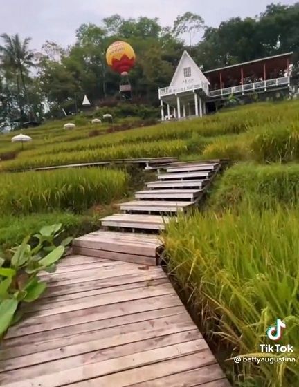 Wisata Terasering Sawah di Garut. (TikTok)