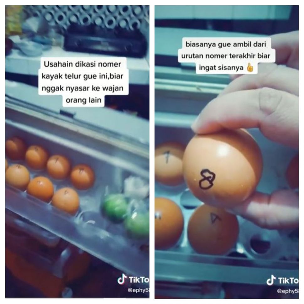 Telur di kulkas kos (TikTok @ephy588)