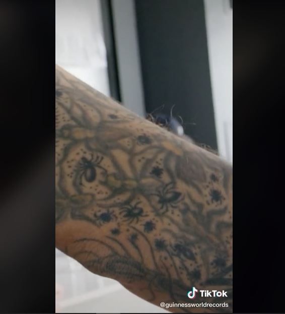 Pria Pemilik Tato Serangga Terbanyak di Dunia (tiktok.com/guinnessworldrecords)