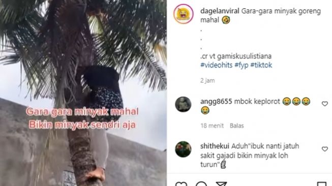 Emak-emak memanjat pohon kelapa demi membuat minyak sendiri. (Instagram/@dagelanviral)