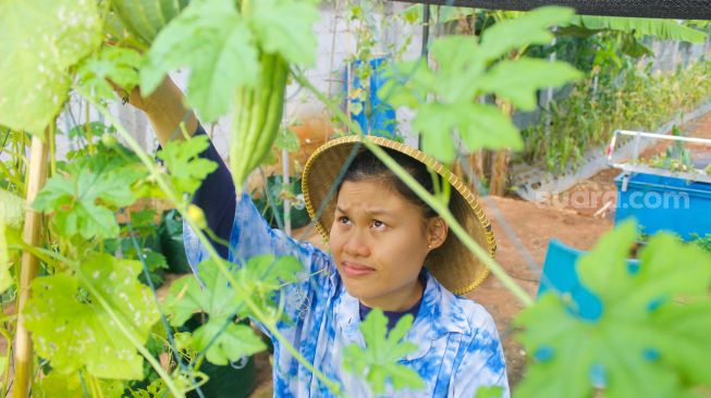 Maisa (27), Pemudi berkebutuhan khusus penyandang Autisme mengelola kebun hidroponik di Kawasan Ciganjur, Jakarta Selatan, Rabu (2/3/2022).[Kabarindong.com/Septian]