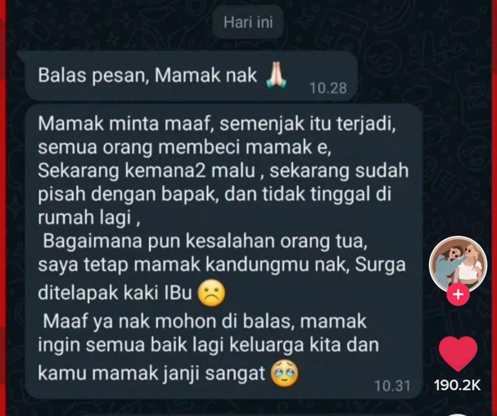 Beredar diduga chat Ibu kandung Norma Rismala meminta maaf usai ketahuan selingkuh dengan menantu. (TikTok)