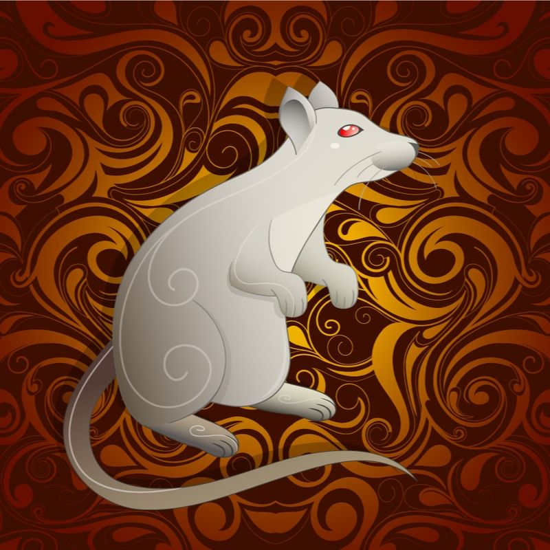 Shio Tikus. (Shutterstock)